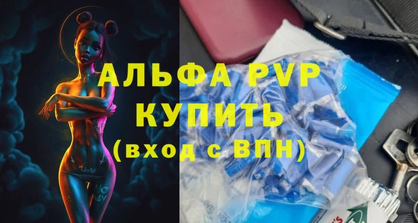 сатива Бронницы