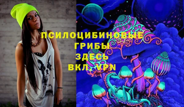 тгк Богородицк