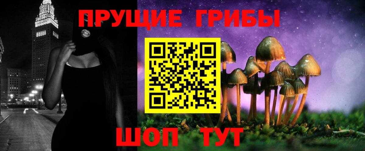 Галлюциногенные грибы мицелий  Псилоцибиновые грибы Psilocybine cubensis  Вход с VPN  Луховицы 